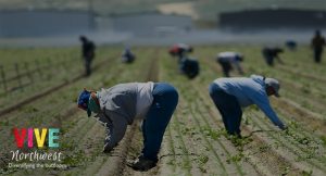 Lee más sobre el artículo Trabajadores agrícolas de Oregon y el sur de Washington viven su peor semana por el COVID-19