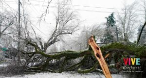 Lee más sobre el artículo Histórica tormenta invernal en zona metropolitana de Portland deja múltiples daños