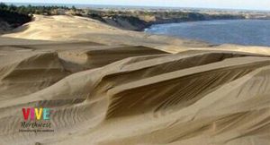 Lee más sobre el artículo Aventúrate a recorrer un inmenso mar de ondulante arena en las dunas de Oregon