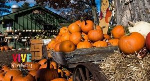 Lee más sobre el artículo Te decimos algunos de los ‘Pumpkin Patches’ no tan populares en Oregon