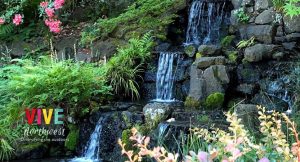 Lee más sobre el artículo Crystal Springs, jardín de majestuosa belleza en Portland que pocos conocen