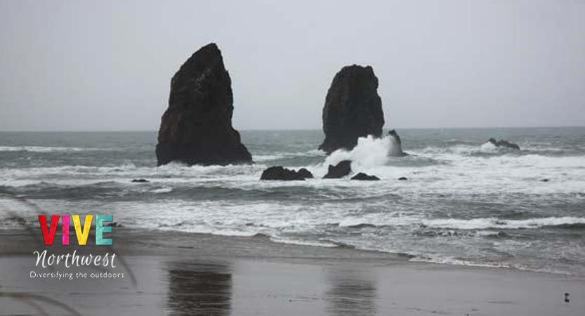 En este momento estás viendo ¿Playa en Oregon durante el invierno? En el Pacifico noroeste nada nos detiene