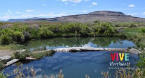Lee más sobre el artículo ¿Quieres combinar el desierto de Oregon con aguas termales? Conoce las Willow Creek Hot Springs