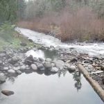 Aguas termales McCredie y cascadas Salt Creek; belleza natural al doble al sureste de Eugene
