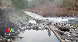 Lee más sobre el artículo Aguas termales McCredie y cascadas Salt Creek; belleza natural al doble al sureste de Eugene