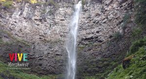 Lee más sobre el artículo Watson Falls, una sencilla (pero hermosa) caminata en el corazón Bosque Nacional Umpqua